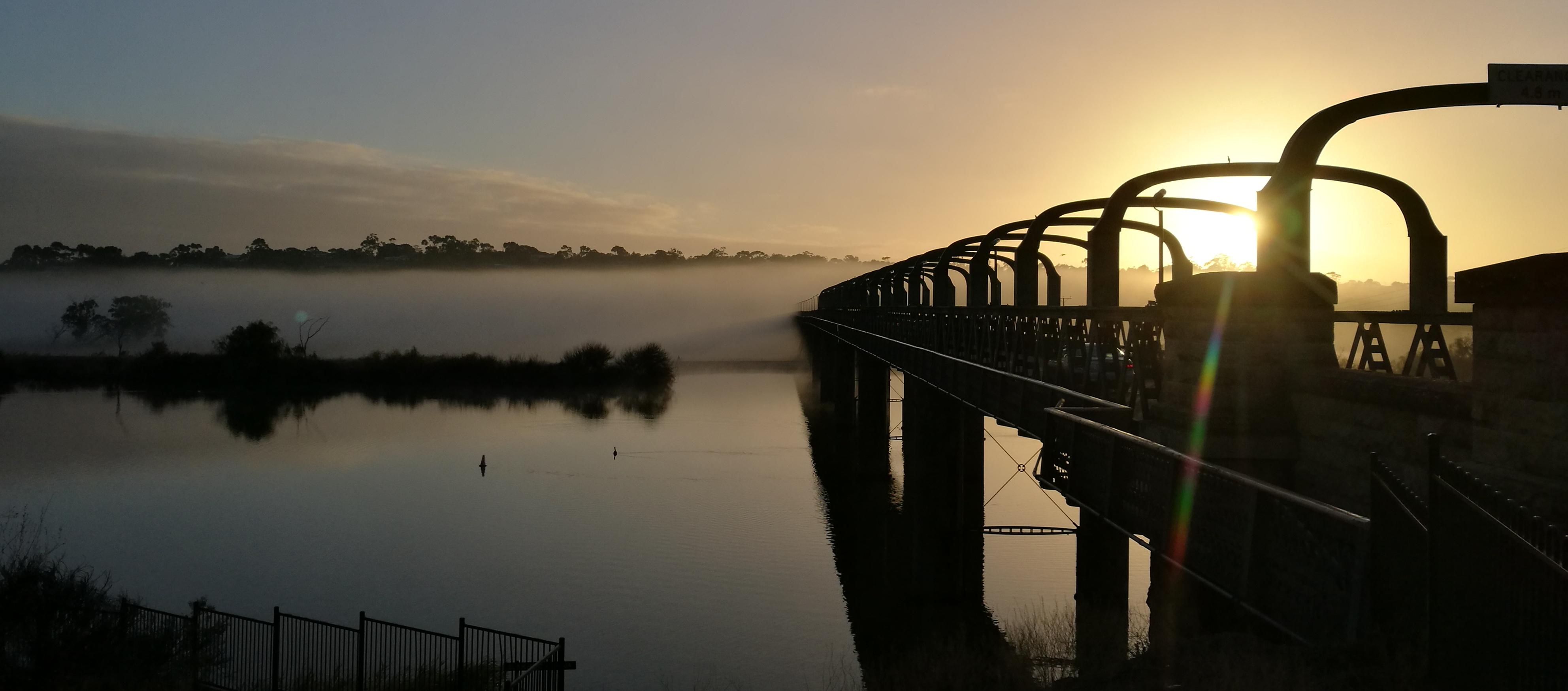 Bridges at Murray Bridge